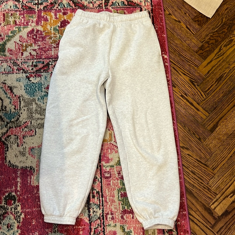 Aritzia sweatpants. Xsmall short